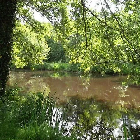 Kemping Mobil-home 10 Pers, 4 Ch, Terrasse - - Api-1-52-568